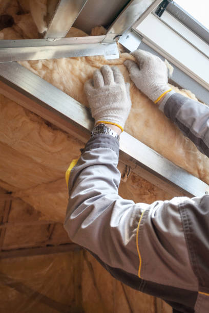 Best Energy Efficiency Solutions in Manche North Shore, CA